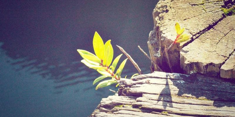 Polská zlotá zaznamenala prudký pád