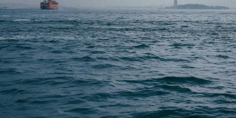 Dividendová sezóna začíná, komu se vyplatí investovat