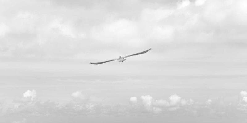 Fed ponechává úrokové sazby beze změny