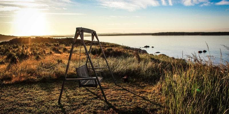 Koruna posílila vůči euru na 24,50 CZK/EUR