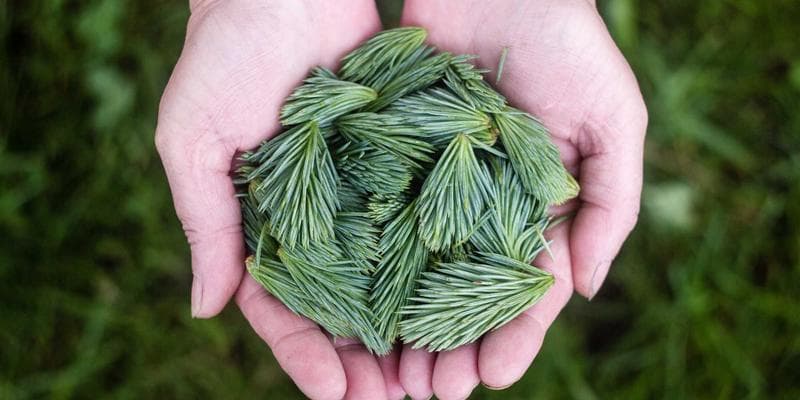 Trh s nemovitostmi vykazuje známky ochlazení