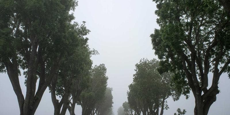 Akcie ČEZ vzrostly na nejvyšší úroveň za poslední měsíc