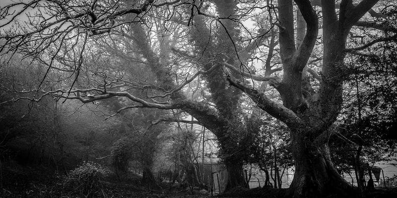 Deutsche Bank zvyšuje cílovou cenu pro Monetu