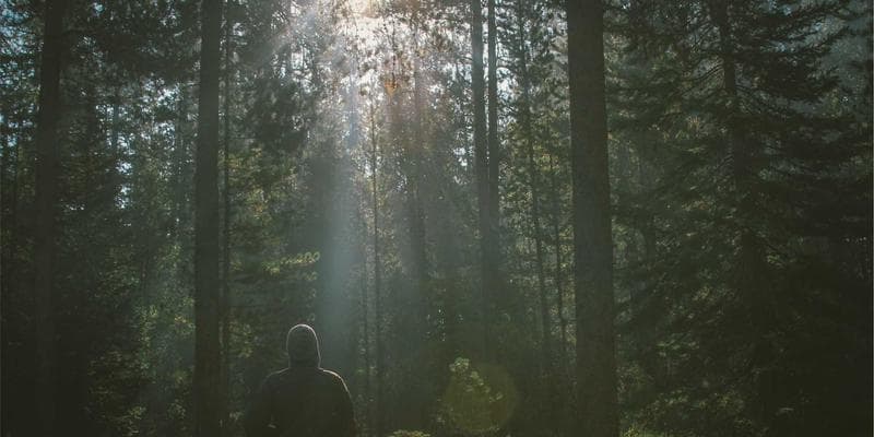 Trh s nemovitostmi vykazuje známky ochlazení