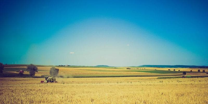 Dividendová sezóna začíná, komu se vyplatí investovat