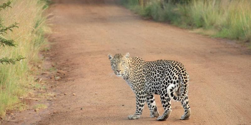 Polská zlotá zaznamenala prudký pád
