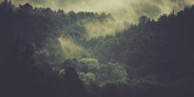 Akcie ČEZ vzrostly na nejvyšší úroveň za poslední měsíc