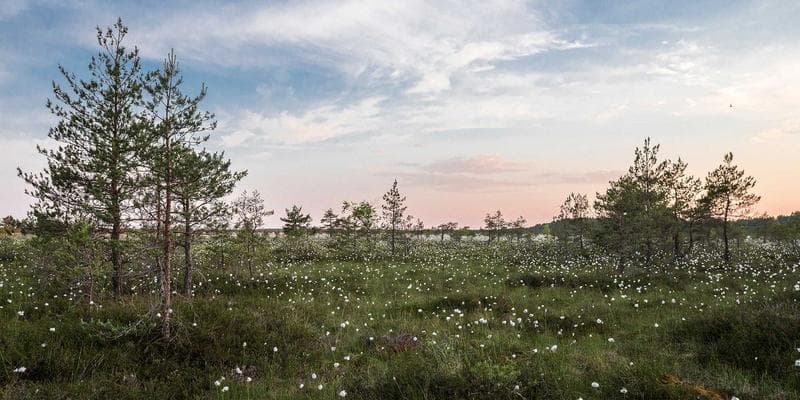 Bitcoiny překonaly hranici 45 000 dolarů