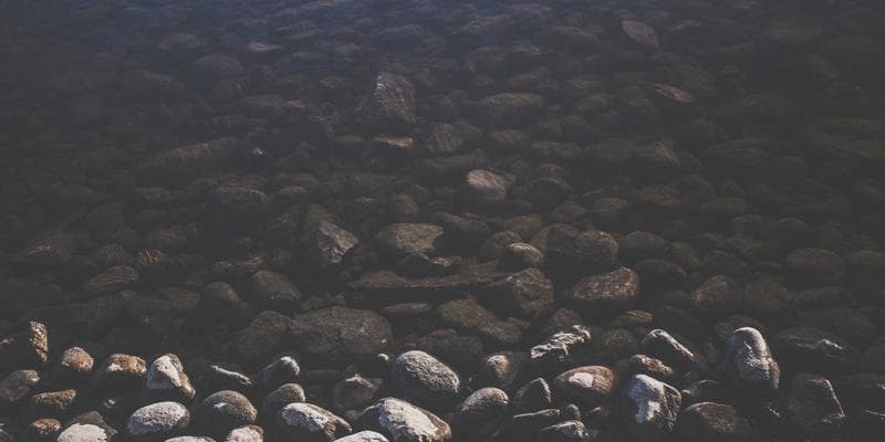 Evropské akcie zahájily obchodování v zeleném