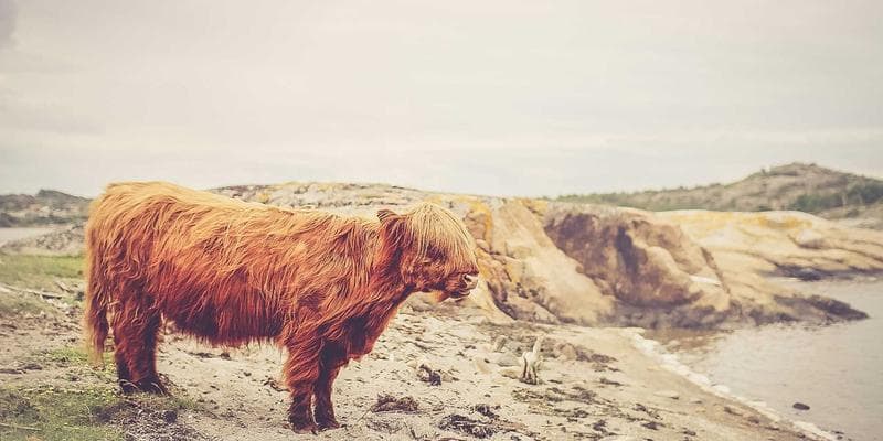 Trh s nemovitostmi vykazuje známky ochlazení