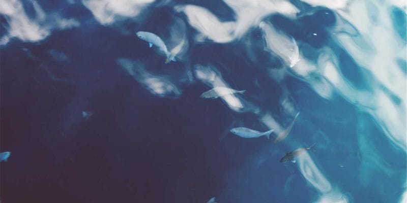 Akcie ČEZ vzrostly na nejvyšší úroveň za poslední měsíc