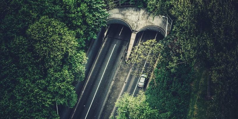 Dividendová sezóna začíná, komu se vyplatí investovat