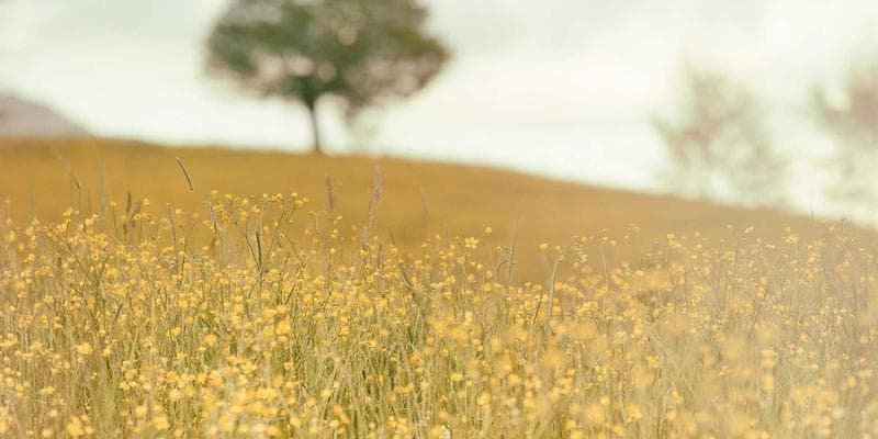 Trh s nemovitostmi vykazuje známky ochlazení