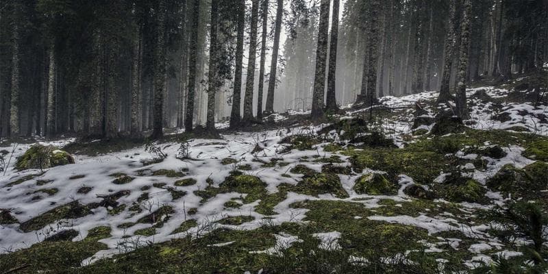 Výsledky hospodaření: KB překonala očekávání