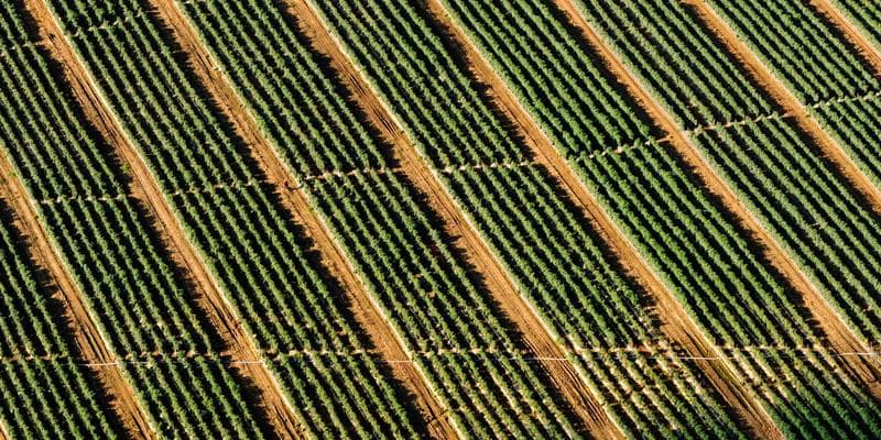 Technologické akcie vedou rally na Wall Street