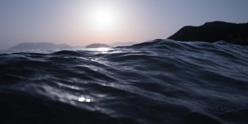 Polská zlotá zaznamenala prudký pád
