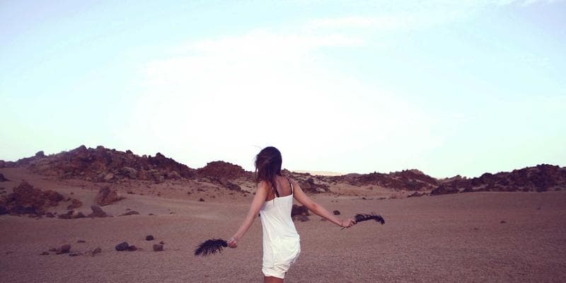 Dividendová sezóna začíná, komu se vyplatí investovat