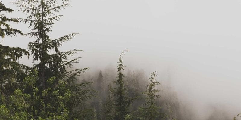 Fed ponechává úrokové sazby beze změny