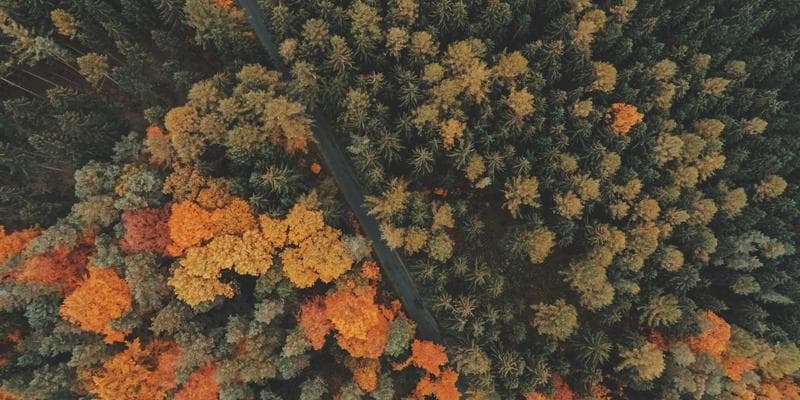 Inflace v eurozóně klesla na 2,9 procenta