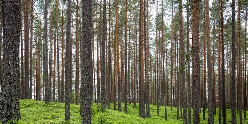 Čínská ekonomika zpomaluje více než se čekalo