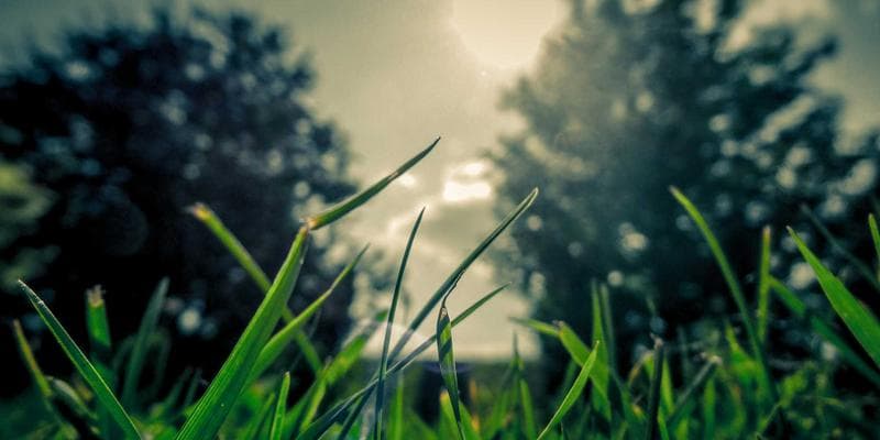 Evropské akcie zahájily obchodování v zeleném