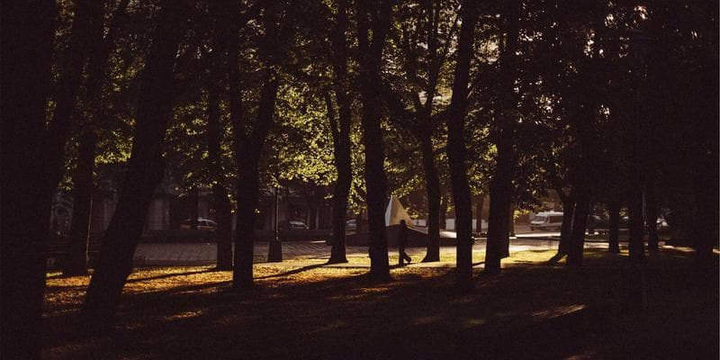Analytici doporučují nákup akcií Erste Bank