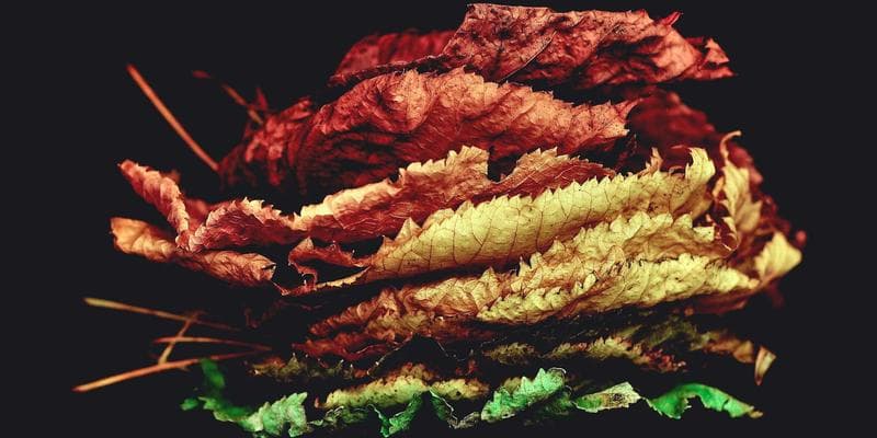 Energetická krize tlačí ceny vzhůru