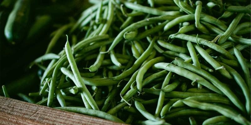 Deutsche Bank zvyšuje cílovou cenu pro Monetu