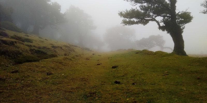 IPO společnosti Allegro láká investory