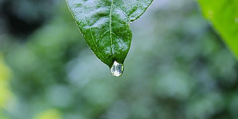 Inflace v eurozóně klesla na 2,9 procenta