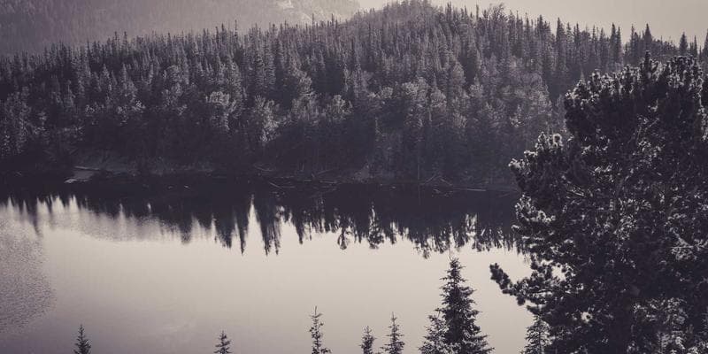 Akcie ČEZ vzrostly na nejvyšší úroveň za poslední měsíc