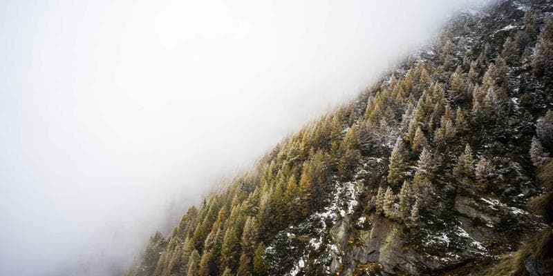 Cena ropy Brent klesla pod 80 dolarů za barel