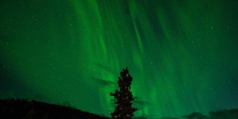 Cena ropy Brent klesla pod 80 dolarů za barel