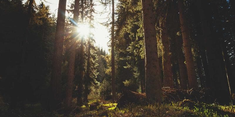 Zlatá horečka pokračuje, cena překonala 2000 USD