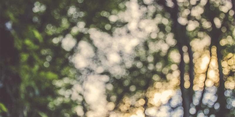 Trh s nemovitostmi vykazuje známky ochlazení