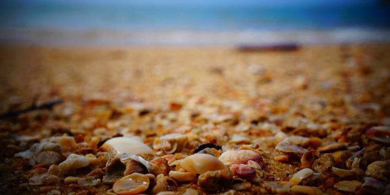 Energetická krize tlačí ceny vzhůru