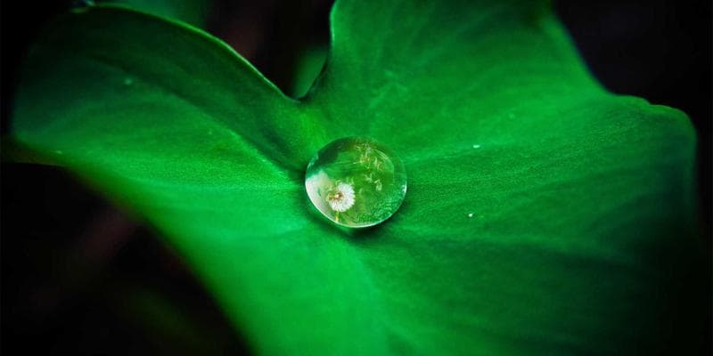 Koruna posílila vůči euru na 24,50 CZK/EUR