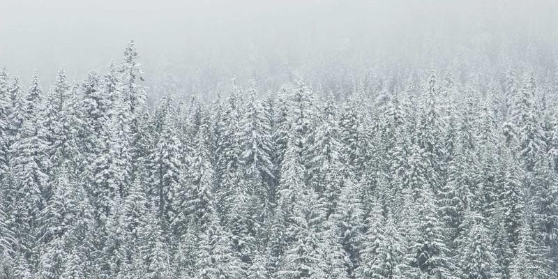 Evropské akcie zahájily obchodování v zeleném