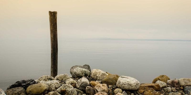 ECB signalizuje další zvyšování sazeb