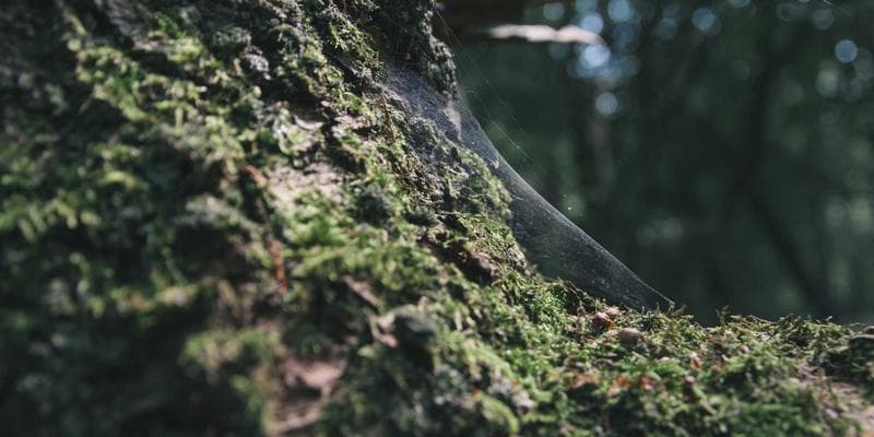 Polská zlotá zaznamenala prudký pád