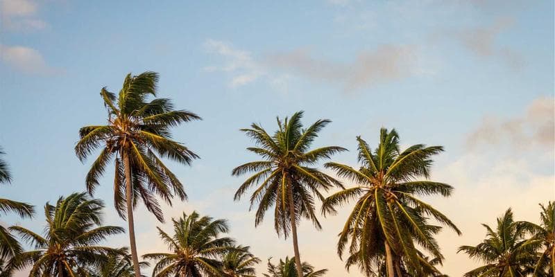 Fed ponechává úrokové sazby beze změny