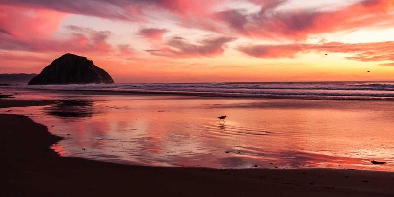 Cena ropy Brent klesla pod 80 dolarů za barel
