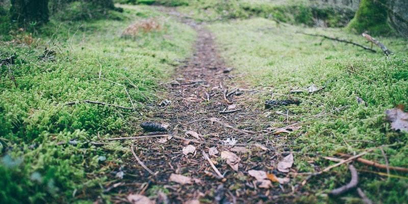 IPO společnosti Allegro láká investory