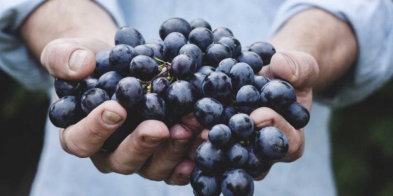 Analytici doporučují nákup akcií Erste Bank