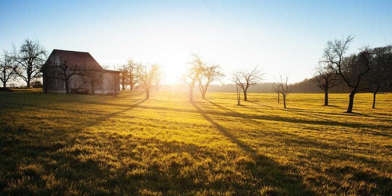 Evropské akcie zahájily obchodování v zeleném