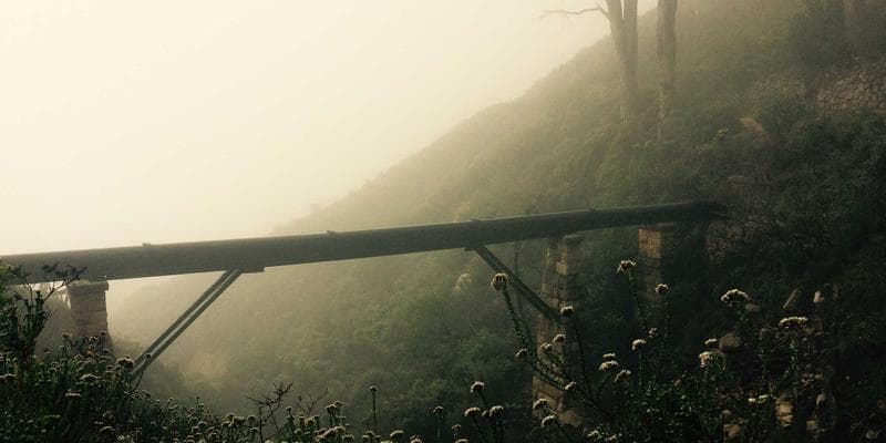 Technologické akcie vedou rally na Wall Street