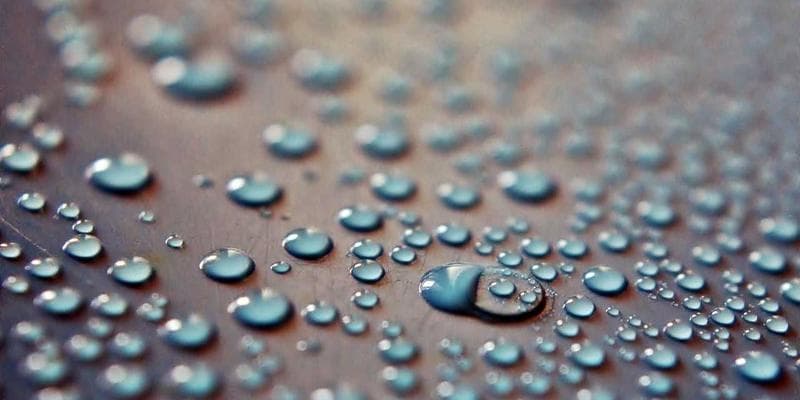 Dividendová sezóna začíná, komu se vyplatí investovat